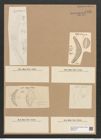 Cystopleura cistula var. lunaris Grun. (de-Toni-Nr.: Genus 103, Species 36/3141) Zeichnungen Sammlung Grunow Nr. 6429 (NHMW-BOT-W0375112)
